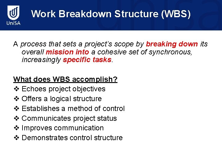 Work Breakdown Structure (WBS) A process that sets a project’s scope by breaking down