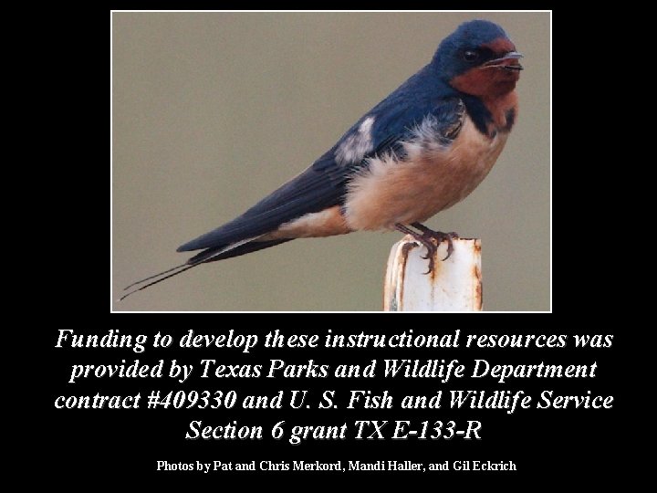 Funding to develop these instructional resources was provided by Texas Parks and Wildlife Department