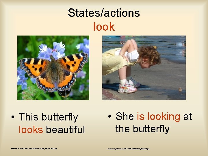 States/actions look • This butterfly looks beautiful • She is looking at the butterfly