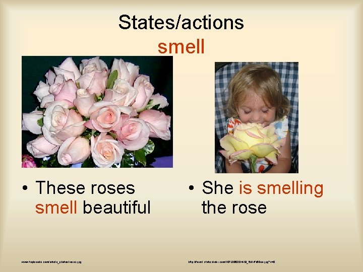 States/actions smell • These roses smell beautiful • She is smelling the rose www.