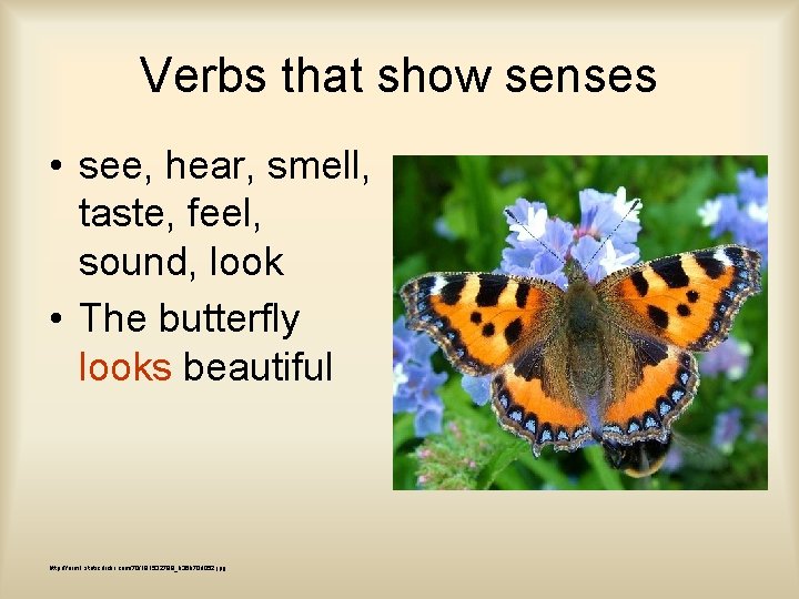 Verbs that show senses • see, hear, smell, taste, feel, sound, look • The