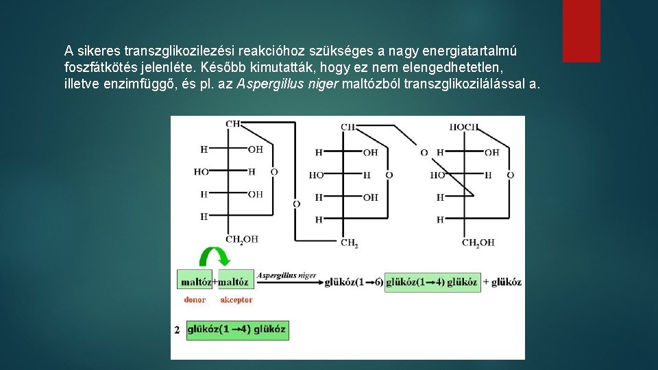 A sikeres transzglikozilezési reakcióhoz szükséges a nagy energiatartalmú foszfátkötés jelenléte. Később kimutatták, hogy ez