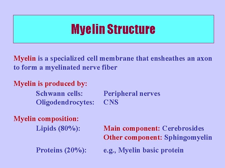 Myelin Structure Myelin is a specialized cell membrane that ensheathes an axon to form