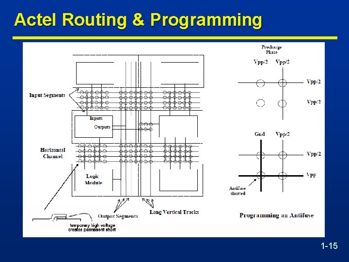 Actel Routing & Programming 1 -15 