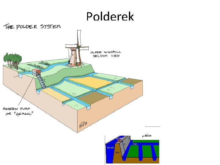 Polderek 