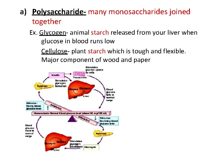 a) Polysaccharide- many monosaccharides joined together Ex. Glycogen- animal starch released from your liver