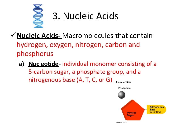 3. Nucleic Acids ü Nucleic Acids- Macromolecules that contain hydrogen, oxygen, nitrogen, carbon and