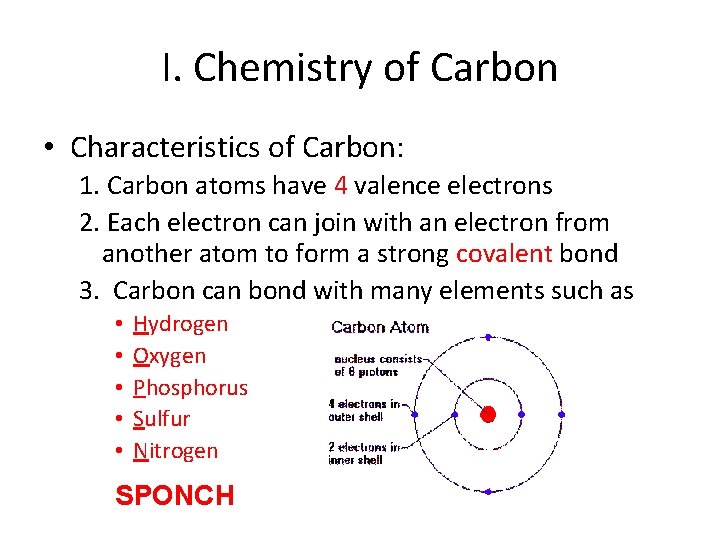 I. Chemistry of Carbon • Characteristics of Carbon: 1. Carbon atoms have 4 valence