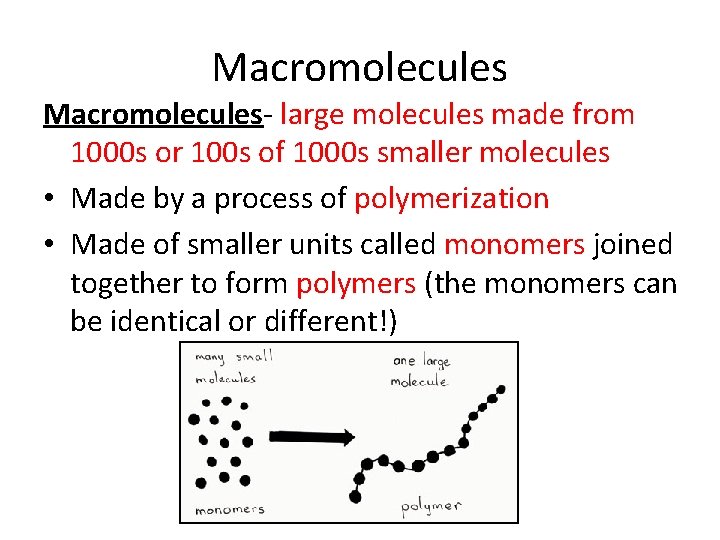 Macromolecules- large molecules made from 1000 s or 100 s of 1000 s smaller