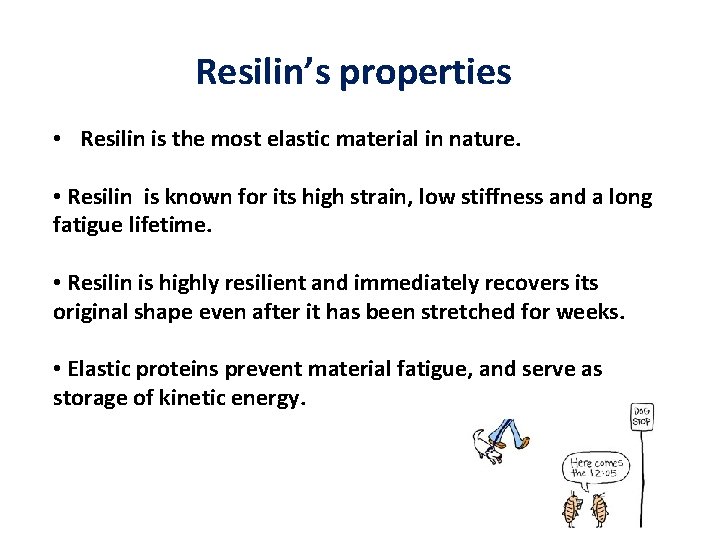 Resilin’s properties • Resilin is the most elastic material in nature. • Resilin is