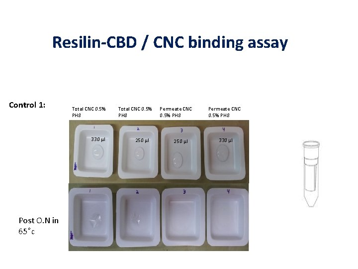 Resilin-CBD / CNC binding assay Control 1: Total CNC 0. 5% PH 8 330