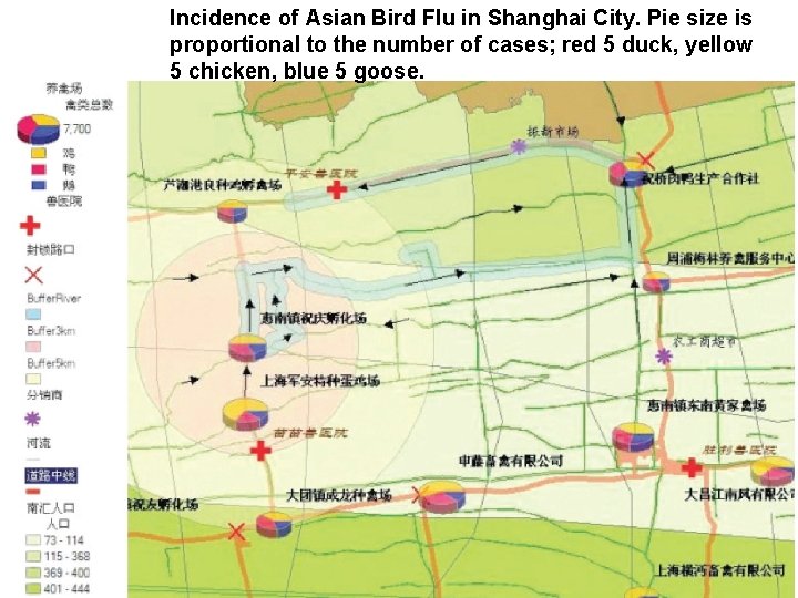 Incidence of Asian Bird Flu in Shanghai City. Pie size is proportional to the