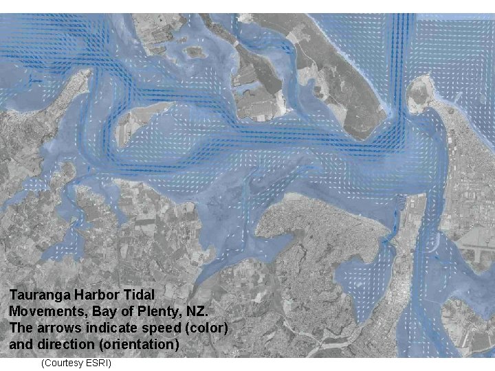 Tauranga Harbor Tidal Movements, Bay of Plenty, NZ. The arrows indicate speed (color) and