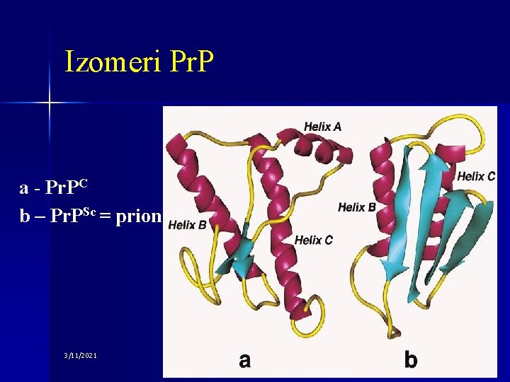 Izomeri Pr. P a - Pr. PC b – Pr. PSc = prion 3/11/2021