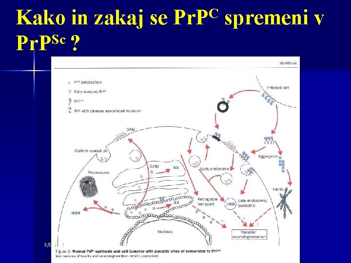 Kako in zakaj se Pr. PC spremeni v Pr. PSc ? 3/11/2021 