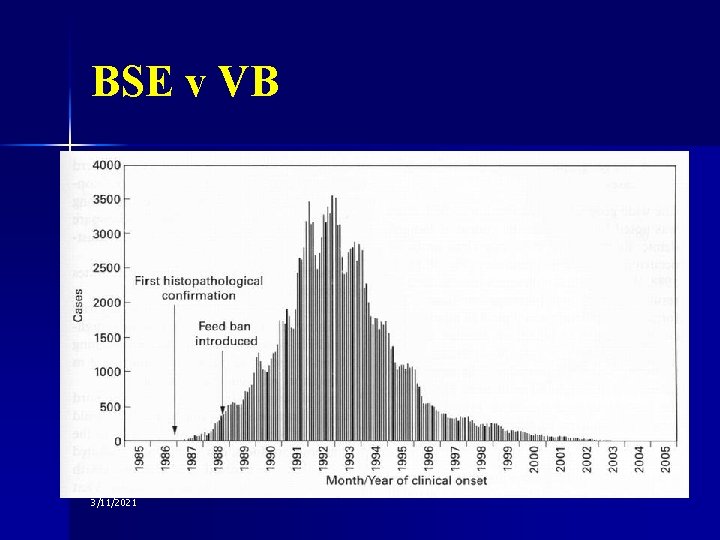 BSE v VB 3/11/2021 