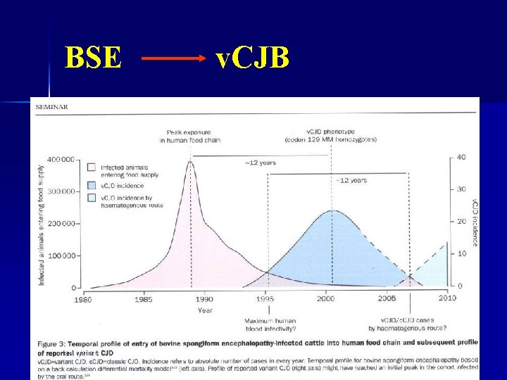 BSE 3/11/2021 v. CJB 