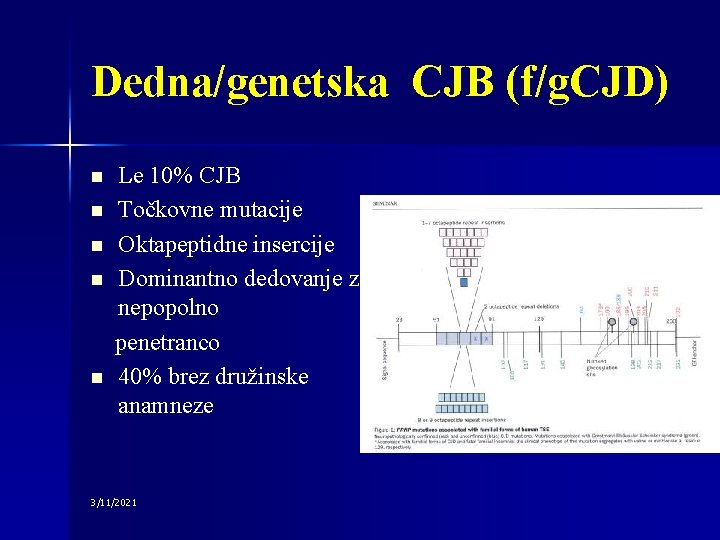 Dedna/genetska CJB (f/g. CJD) n n n Le 10% CJB Točkovne mutacije Oktapeptidne insercije