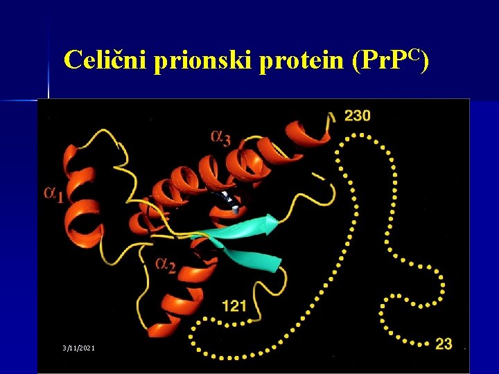 Celični prionski protein (Pr. PC) 3/11/2021 