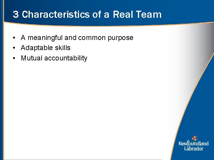 3 Characteristics of a Real Team • A meaningful and common purpose • Adaptable