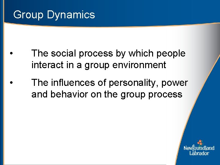 Group Dynamics • The social process by which people interact in a group environment