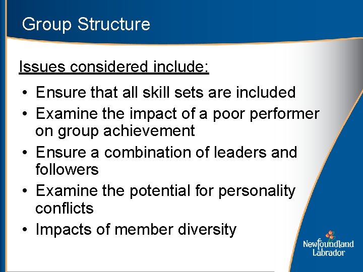 Group Structure Issues considered include: • Ensure that all skill sets are included •