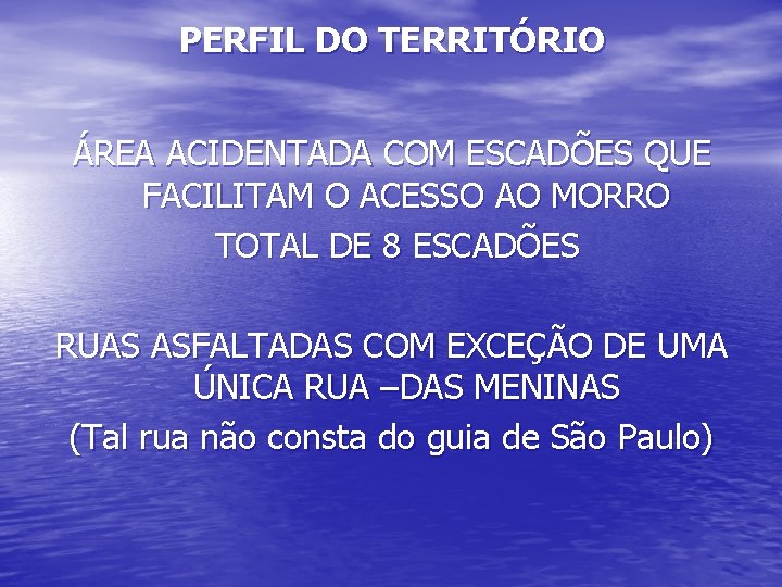 PERFIL DO TERRITÓRIO ÁREA ACIDENTADA COM ESCADÕES QUE FACILITAM O ACESSO AO MORRO TOTAL