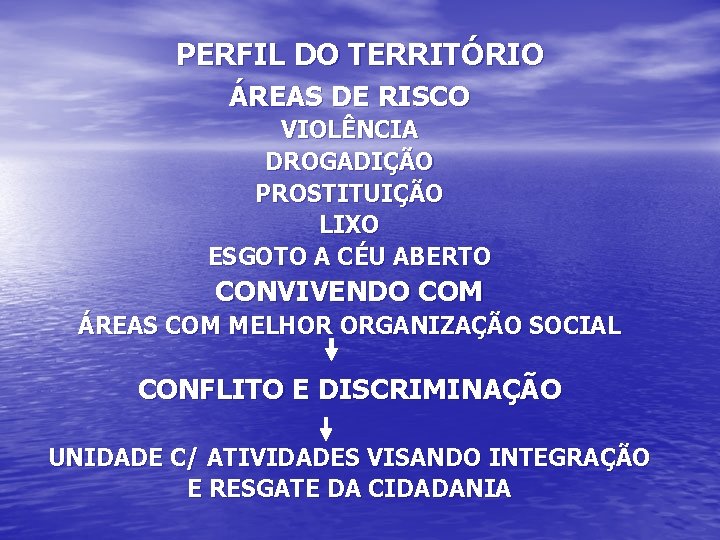 PERFIL DO TERRITÓRIO ÁREAS DE RISCO VIOLÊNCIA DROGADIÇÃO PROSTITUIÇÃO LIXO ESGOTO A CÉU ABERTO