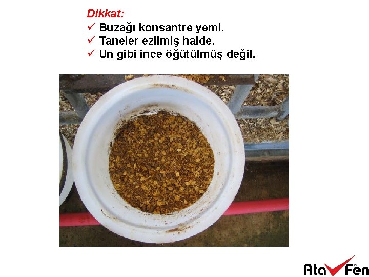 Dikkat: ü Buzağı konsantre yemi. ü Taneler ezilmiş halde. ü Un gibi ince öğütülmüş