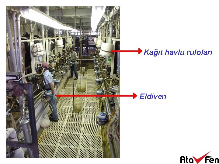 Kağıt havlu ruloları Eldiven 