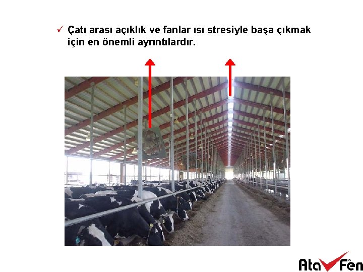 ü Çatı arası açıklık ve fanlar ısı stresiyle başa çıkmak için en önemli ayrıntılardır.