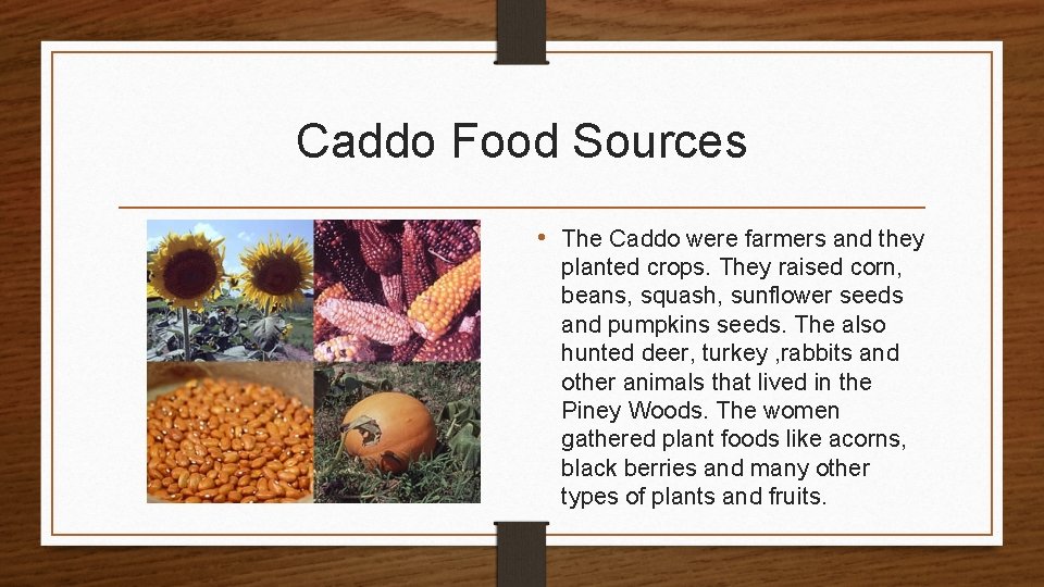Caddo Food Sources • The Caddo were farmers and they planted crops. They raised Caddo Food Sources • The Caddo were farmers and they planted crops. They raised