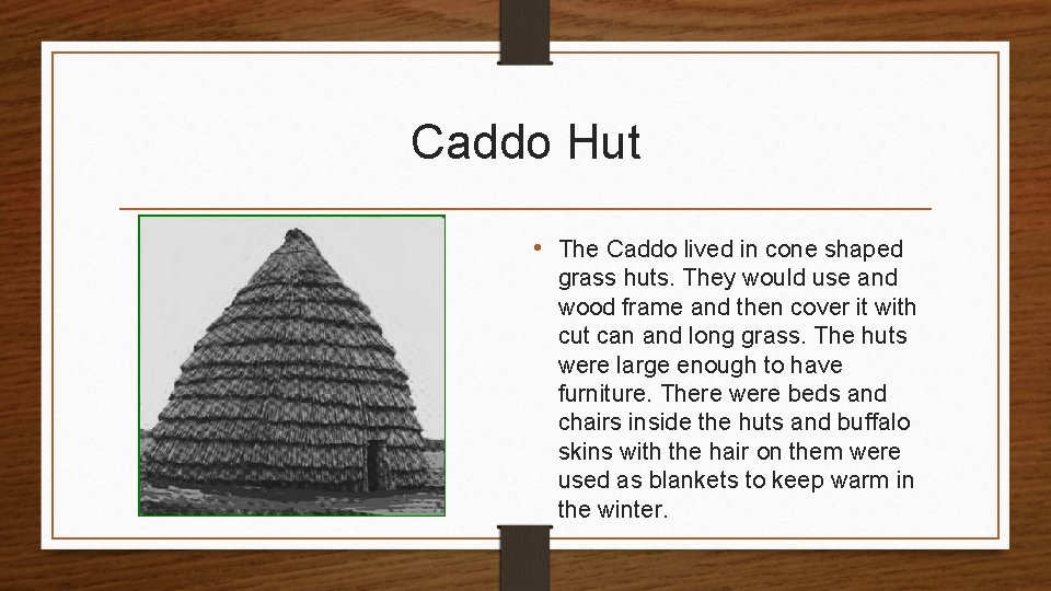 Caddo Hut • The Caddo lived in cone shaped grass huts. They would use Caddo Hut • The Caddo lived in cone shaped grass huts. They would use