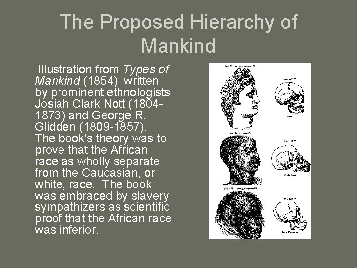 The Proposed Hierarchy of Mankind Illustration from Types of Mankind (1854), written by prominent