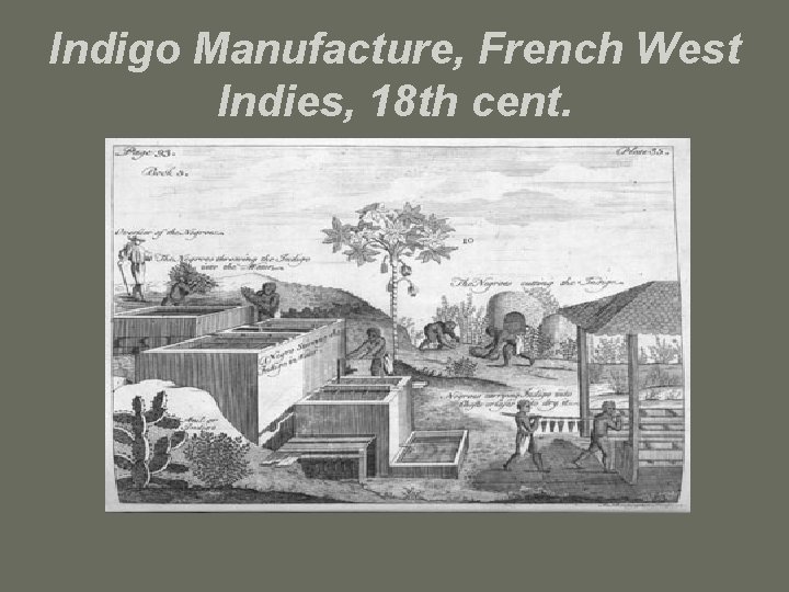 Indigo Manufacture, French West Indies, 18 th cent. 