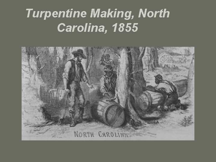 Turpentine Making, North Carolina, 1855 