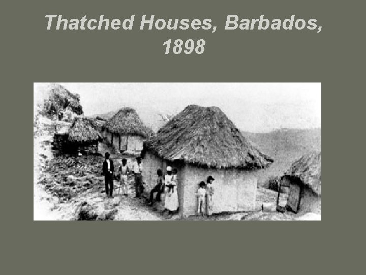 Thatched Houses, Barbados, 1898 
