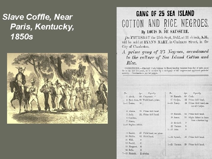 Slave Coffle, Near Paris, Kentucky, 1850 s 