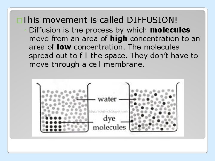 �This movement is called DIFFUSION! ◦ Diffusion is the process by which molecules move