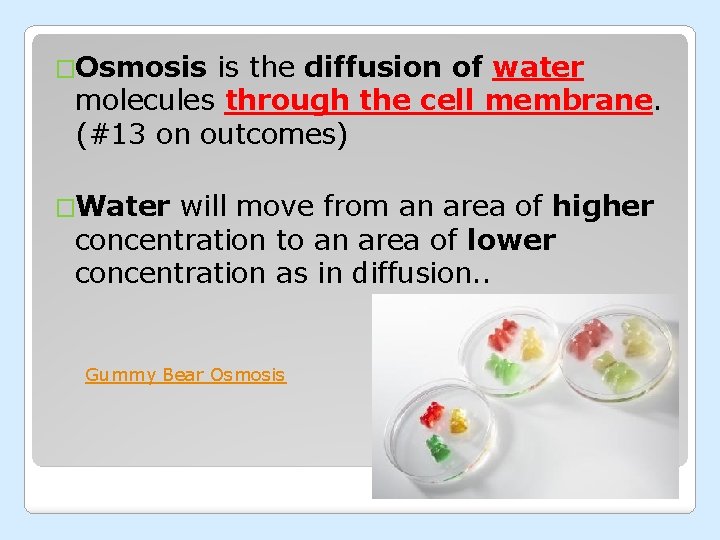 �Osmosis is the diffusion of water molecules through the cell membrane. (#13 on outcomes)