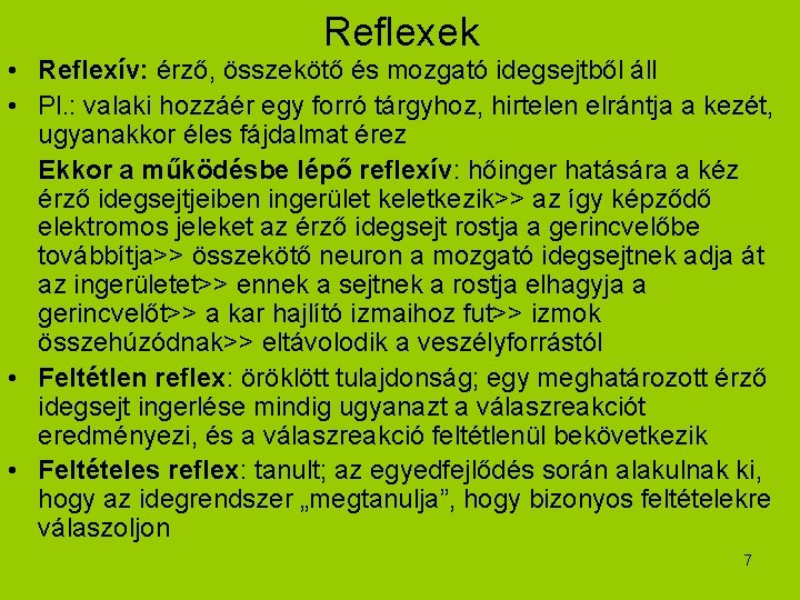 Reflexek • Reflexív: érző, összekötő és mozgató idegsejtből áll • Pl. : valaki hozzáér