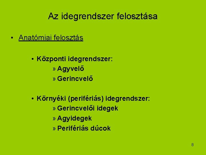 Az idegrendszer felosztása • Anatómiai felosztás • Központi idegrendszer: » Agyvelő » Gerincvelő •