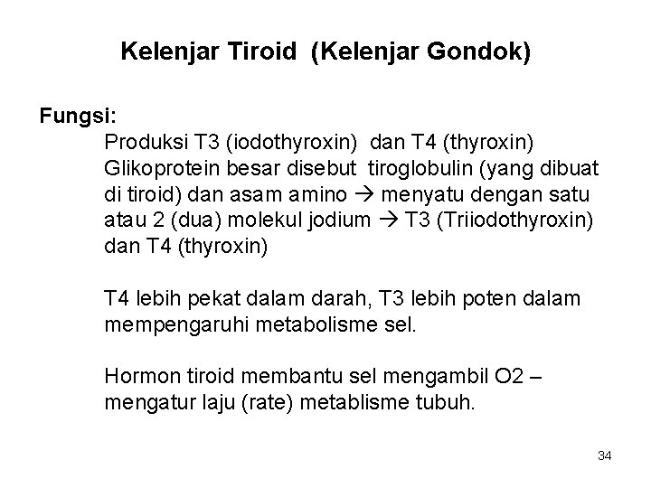 Kelenjar Tiroid (Kelenjar Gondok) Fungsi: Produksi T 3 (iodothyroxin) dan T 4 (thyroxin) Glikoprotein