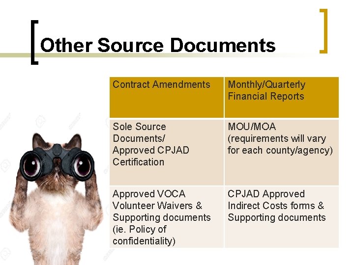 Other Source Documents Contract Amendments Monthly/Quarterly Financial Reports Sole Source Documents/ Approved CPJAD Certification