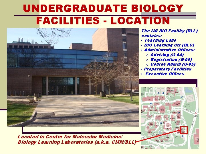 UNDERGRADUATE BIOLOGY FACILITIES - LOCATION The UG BIO Facility (BLL) contains: • Teaching Labs