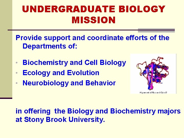 UNDERGRADUATE BIOLOGY MISSION Provide support and coordinate efforts of the Departments of: • Biochemistry