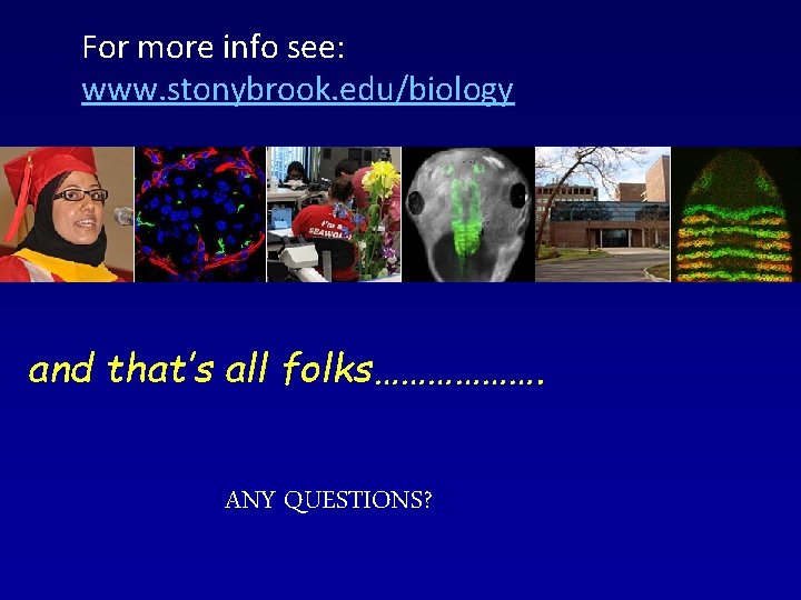 For more info see: www. stonybrook. edu/biology and that’s all folks………………. ANY QUESTIONS? 