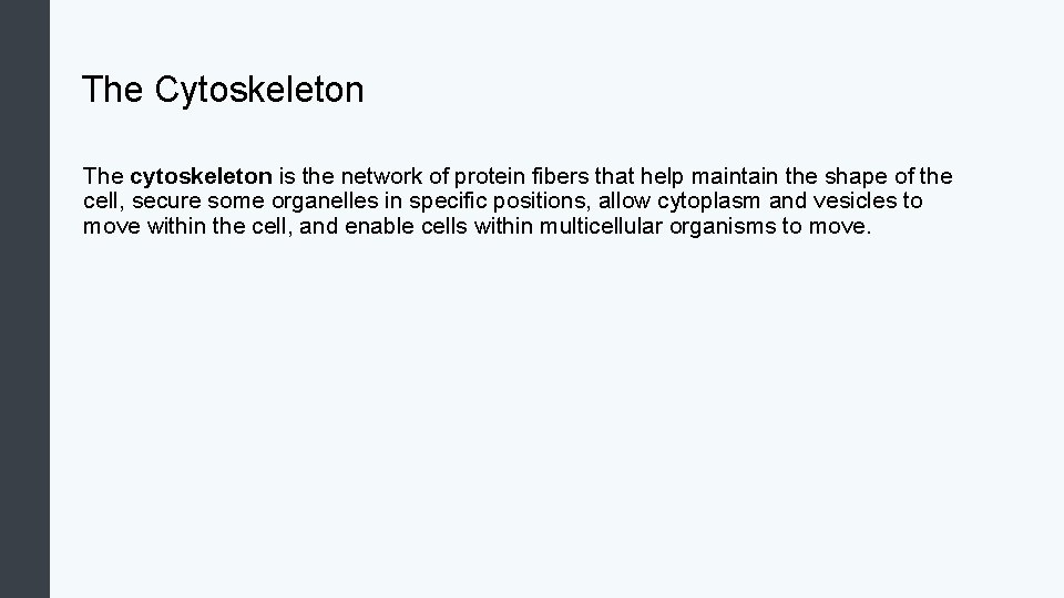 The Cytoskeleton The cytoskeleton is the network of protein fibers that help maintain the