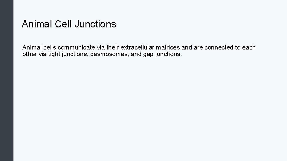 Animal Cell Junctions Animal cells communicate via their extracellular matrices and are connected to