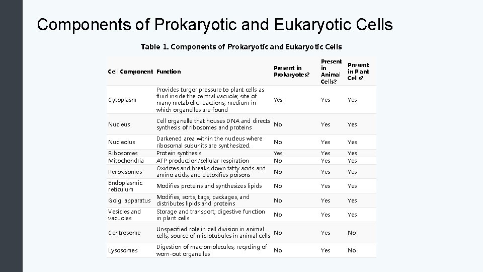 Components of Prokaryotic and Eukaryotic Cells Table 1. Components of Prokaryotic and Eukaryotic Cells